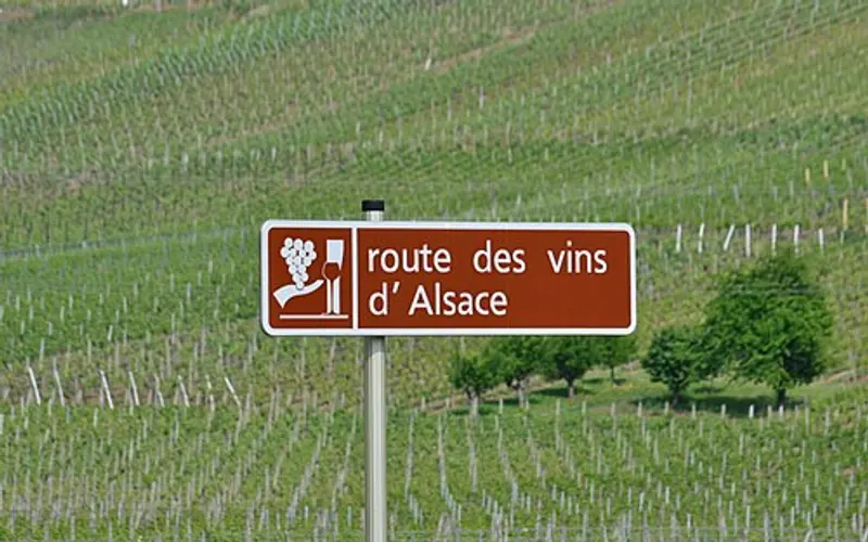 La Route des Vins d’Alsace à vélo.