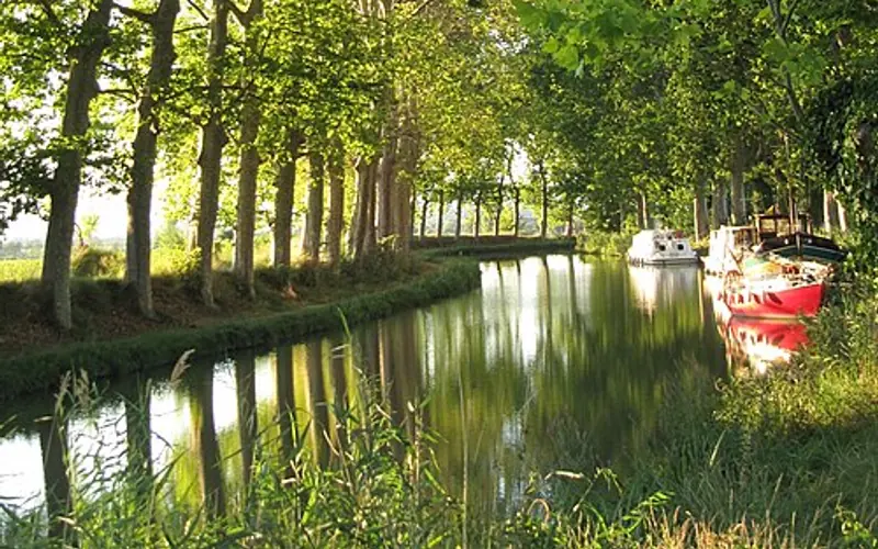 Le Canal du Midi à vélo.